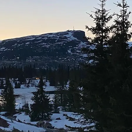 Hytte Pa Skeikampen