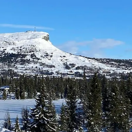 Hytte Pa Skeikampen